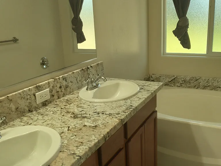 master vanity and soaker tub