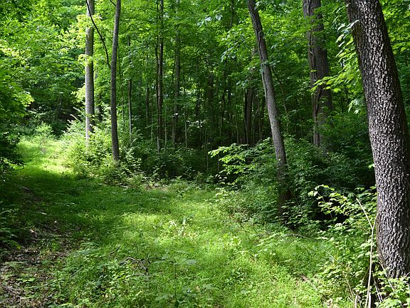 2nd image of 1021 Harpeth Valley Ct