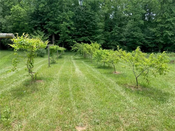 19 Pierces Pond Rd, Murrayville, GA 30564