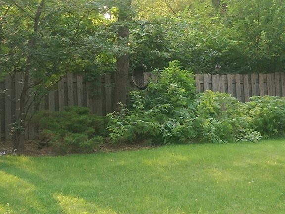 Private and large backyard??