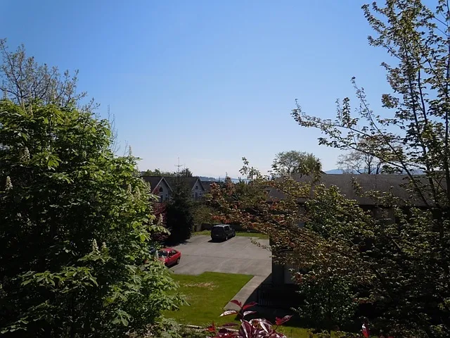 CL1210 — Photo 10