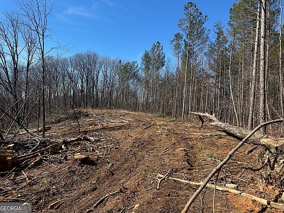 4th image of 500 Chapman Ridge Ln