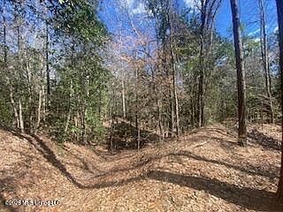 1st image of Turkey Creek Rd