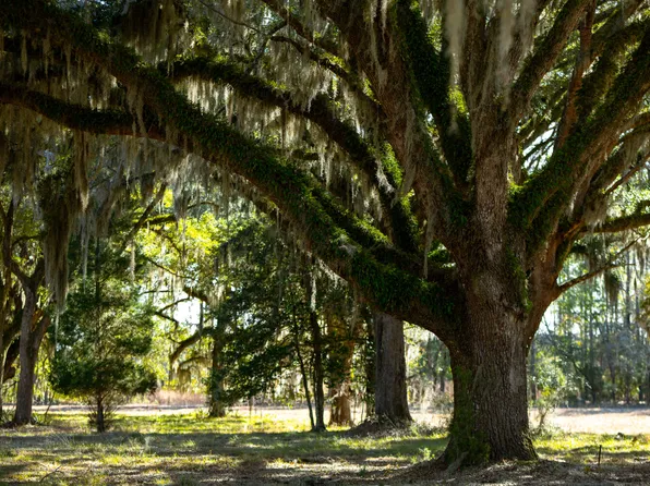 0 Mouresina Rd Lot 5, Georgetown, SC 29440