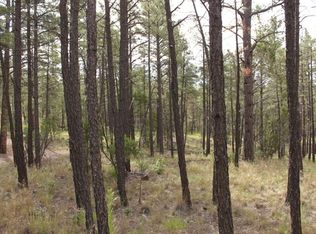 4791 W Hawthorn Rd, Show Low, AZ 85901