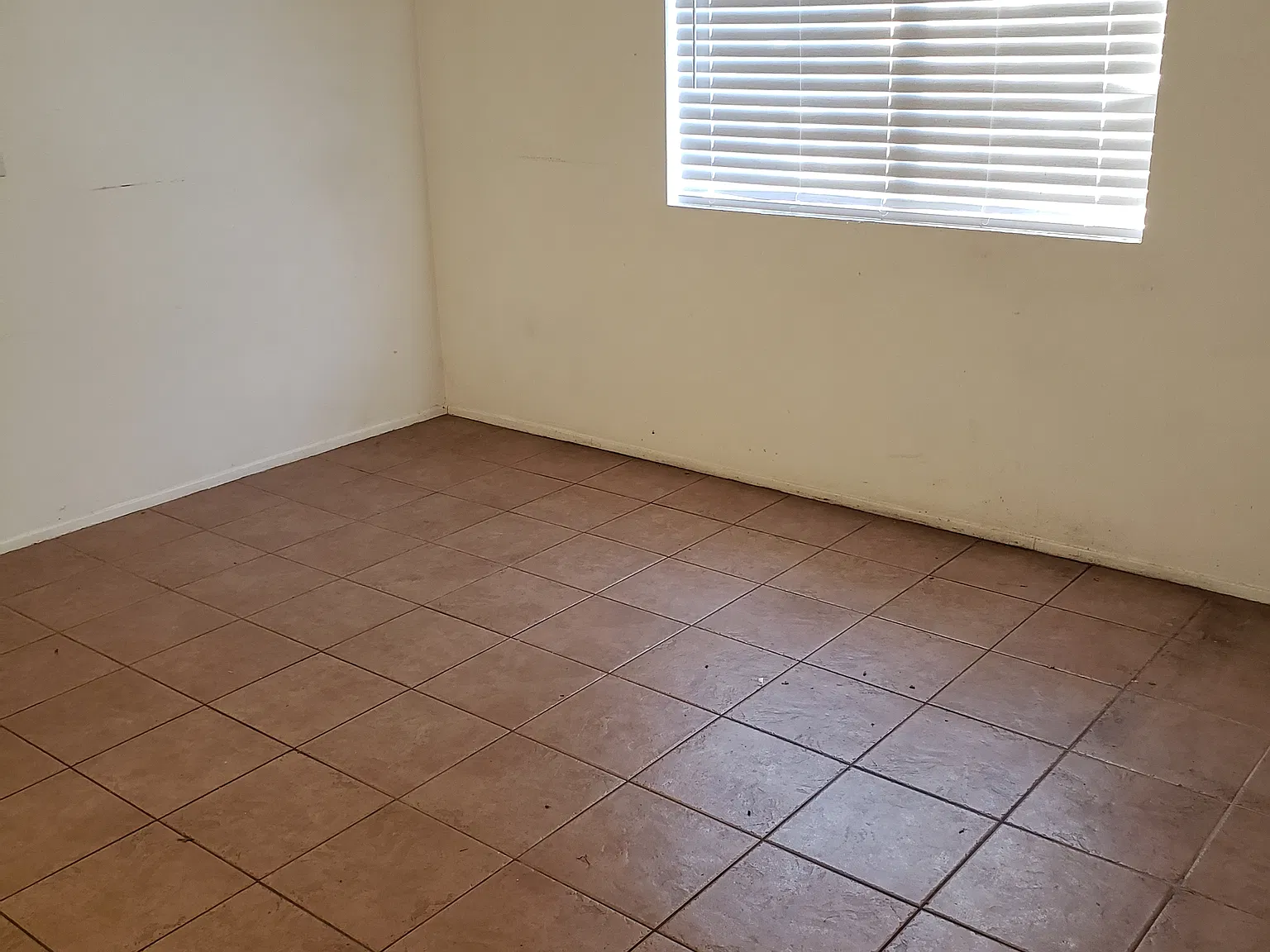 2 bed, 750 sqft, $1,850 — Photo 3