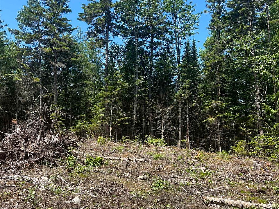 142 Mirror Lake Estates Dr, Whitefield, NH 03598 MLS 4960542 Zillow