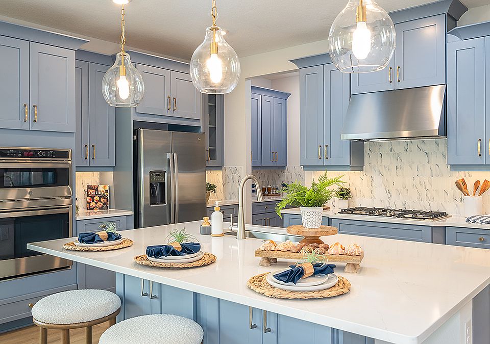 Ardisia-Park-Longboat-2879-1200x675 kitchen