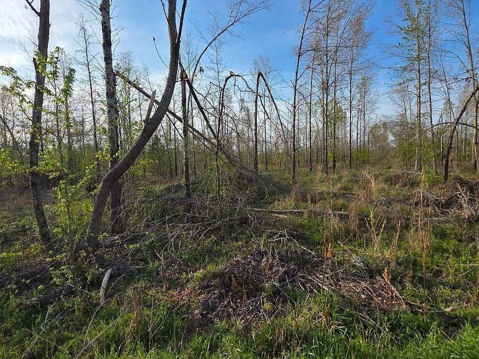 2nd image of 0 Carey Smith Rd