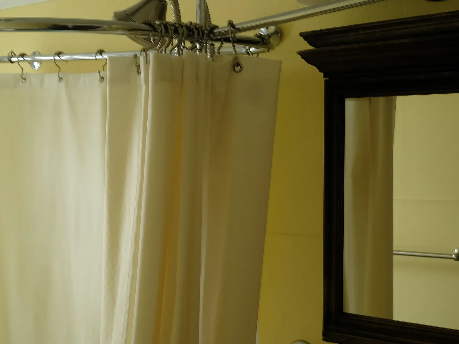 1 bed, 750 sqft, $1,490 — Photo 4