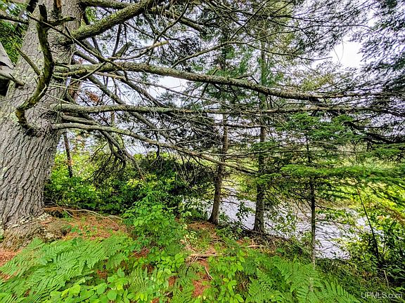 2nd image of Tbd Pond Rd