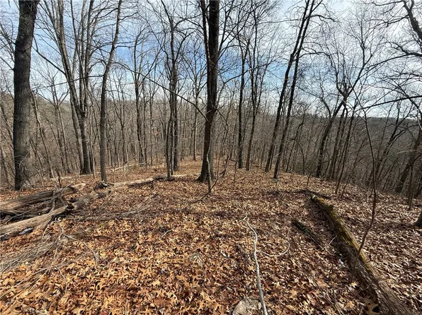 3 Cardinal Ridge Rd Tract 3, Eureka Springs, AR 72632