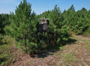 55.43 Jeffords Mill Rd, Darlington, SC 29540