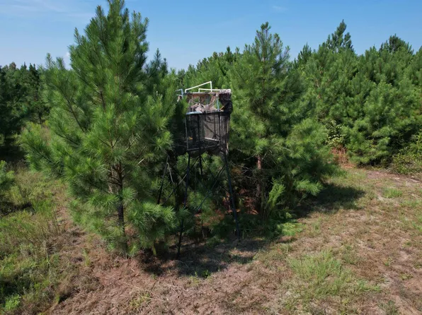 55.43 Acres-TBD Jeffords Mill Rd., Darlington, SC 29532