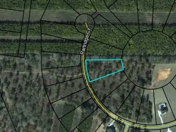 220 Partridge Cir, Leesburg, GA 31763