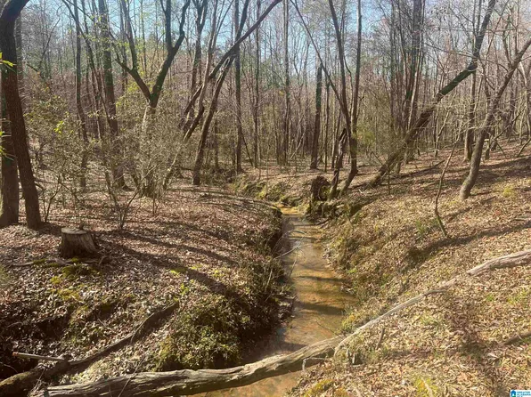 0 Crystal Lake Rd #0, West Blocton, AL 35184