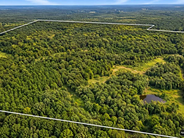 631 Jay Bird Ln, Palmersville, TN 38241
