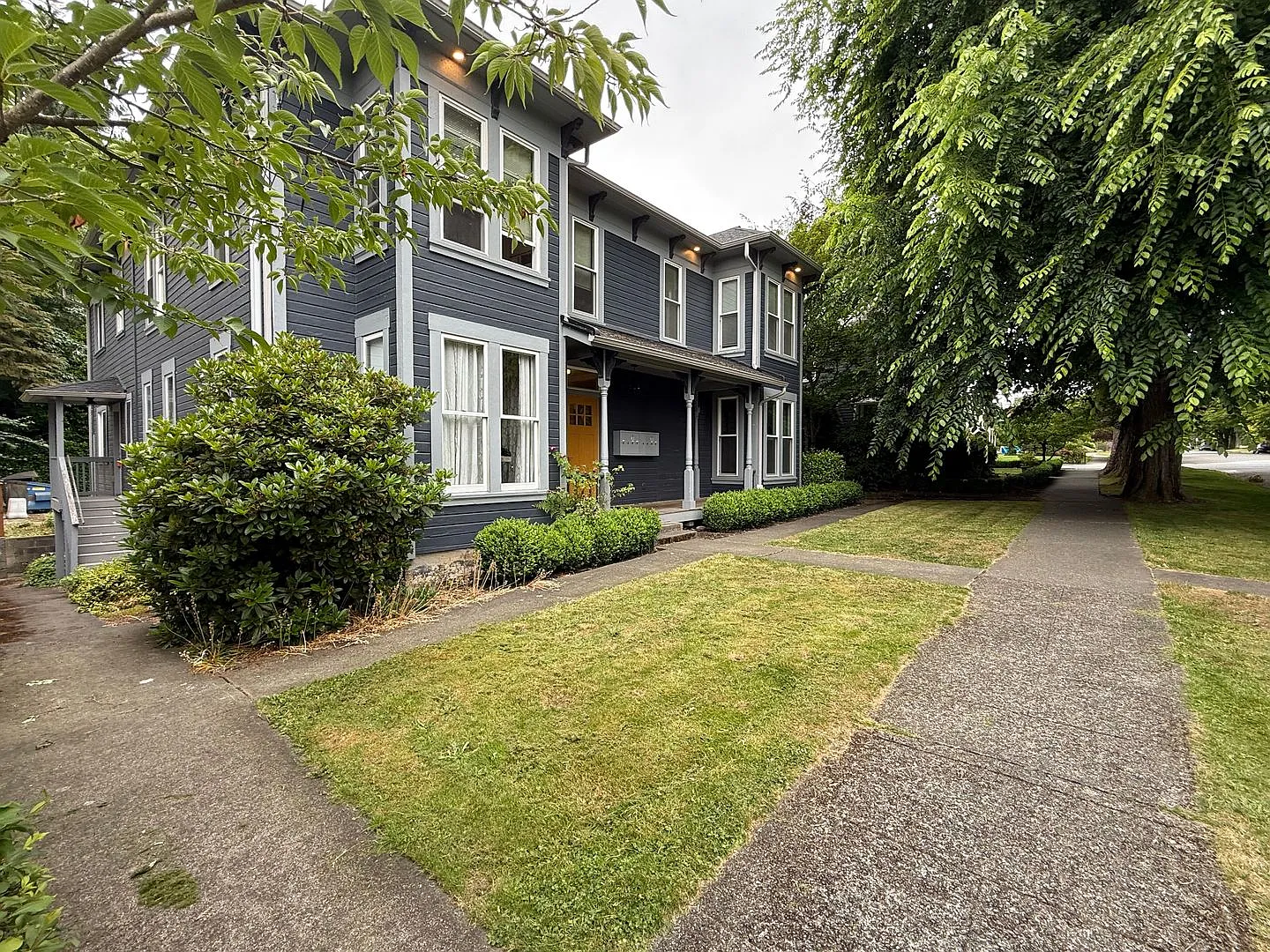 1 bed, 600 sqft, $1,599 — Photo 3
