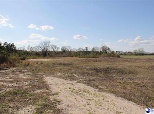 Country Manor Rd, Lamar, SC 29069