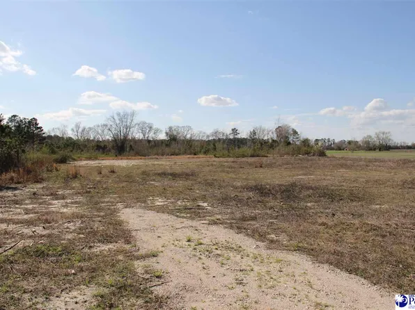 Country Manor Rd, Lamar, SC 29069