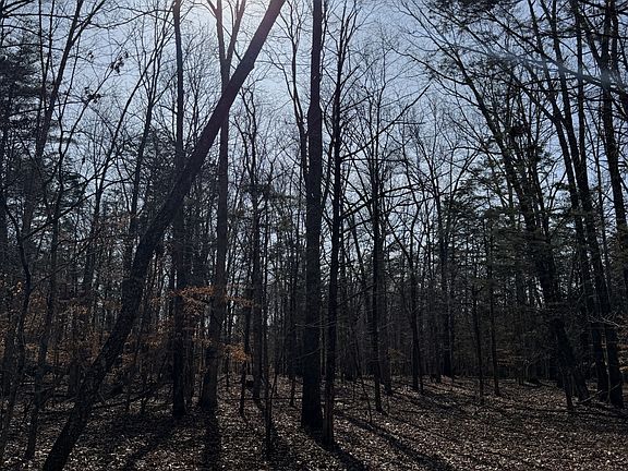 3rd image of 0 Step Rock Hill Rd