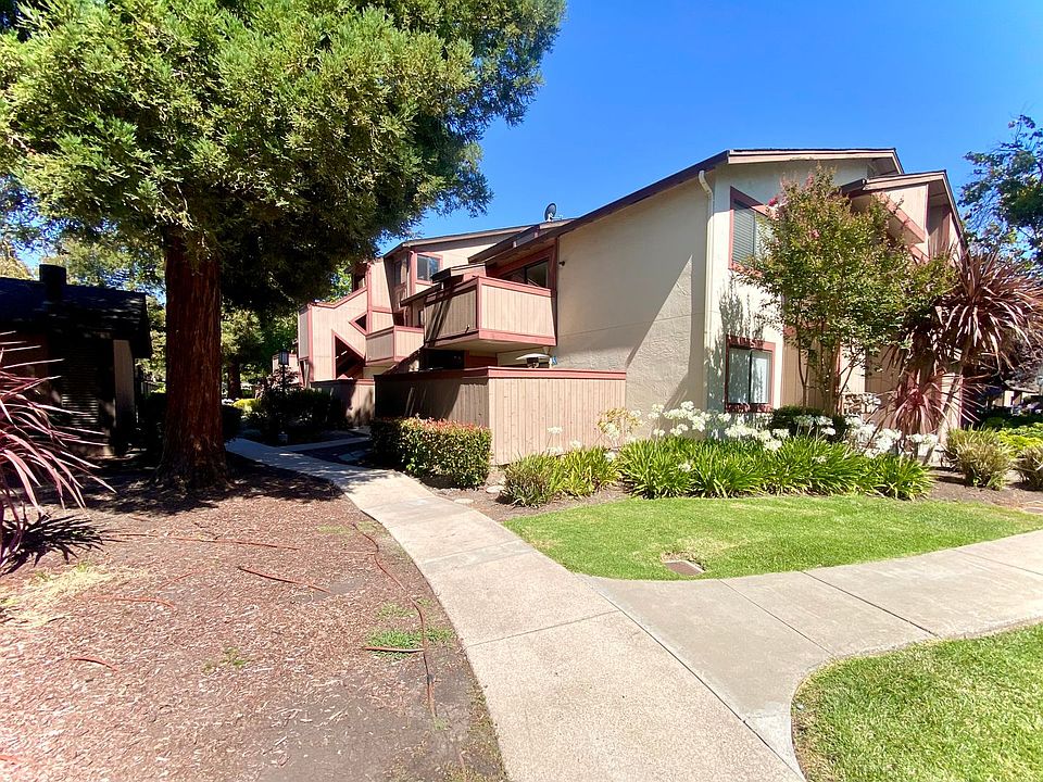 1st image of 254 Hackamore Cmn