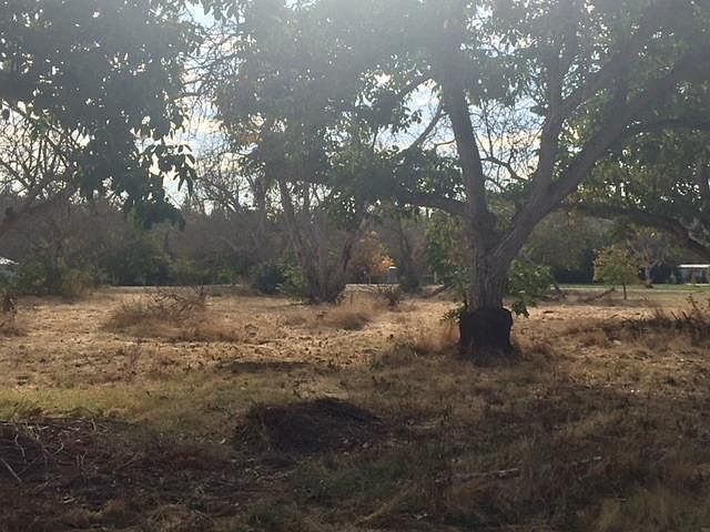 2nd image of Rodden Rd
