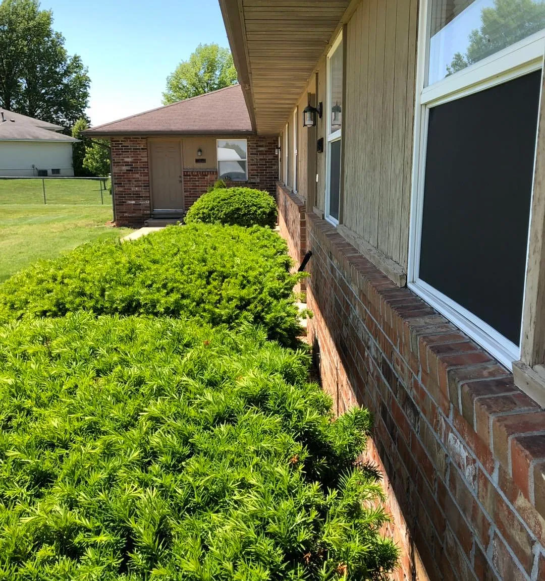 2 bed, 800 sqft, $795 — Photo 3