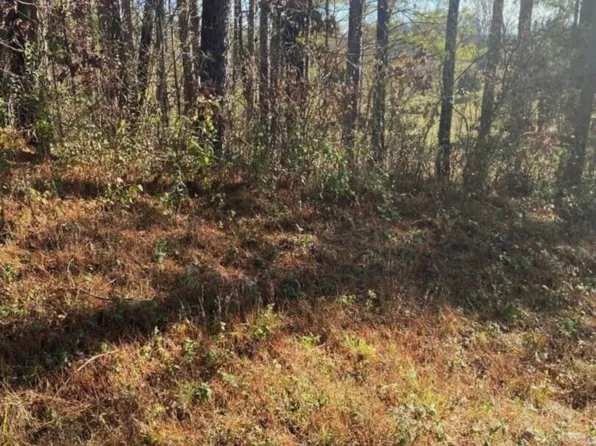 0 Tommy Loop Lot 36, Sweetwater, TN 37874