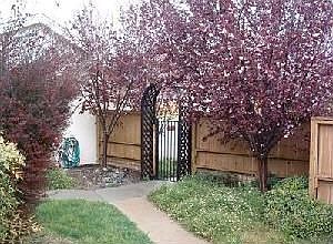 2nd image of 3951 Hollyhock Way