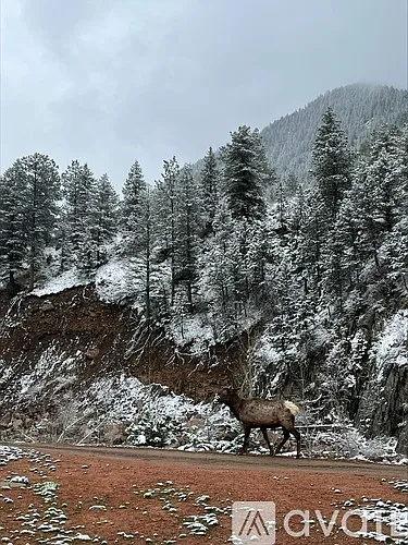 1520 Big Thompson Canyon Hwy #3 — Photo 15