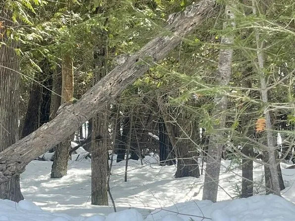 Huron, Pointe Aux Pins, MI 49775