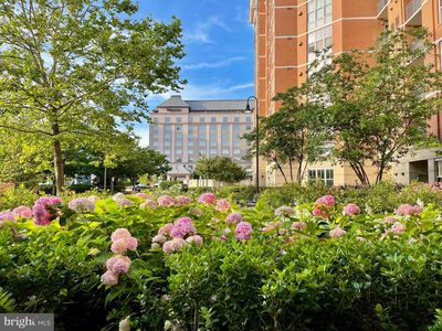 11770 Sunrise Valley Dr APT 124, Reston, VA, 20191