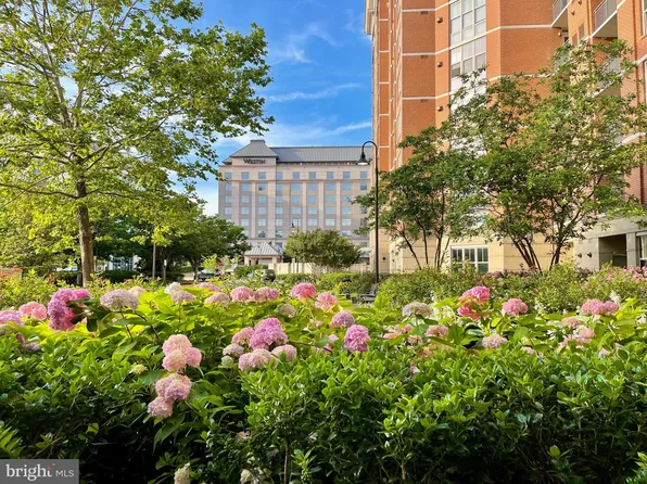 11770 Sunrise Valley Dr APT 124, Reston, VA 20191