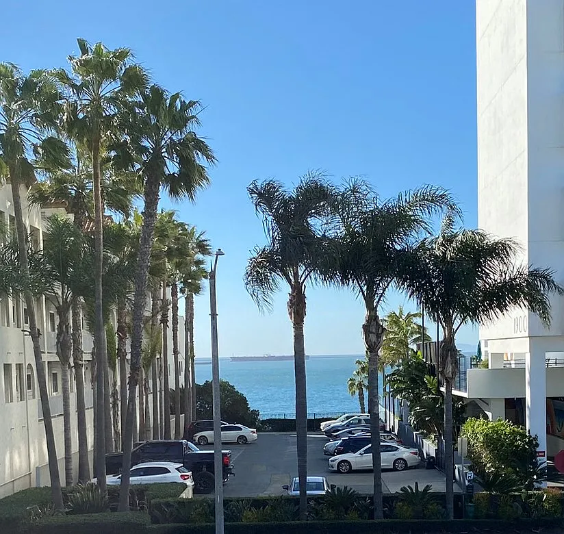 Ocean Elements at Alamitos Beach Apartments — Photo 4