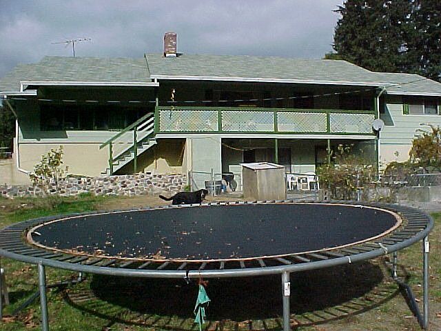 front of home