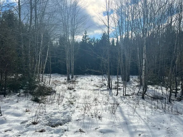 Lot 137 White Tail Road Road, Waltham, ME 04605