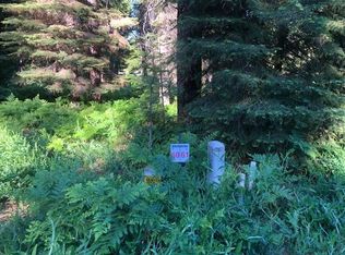 60 Old Mill Dr, McCloud, CA 96057