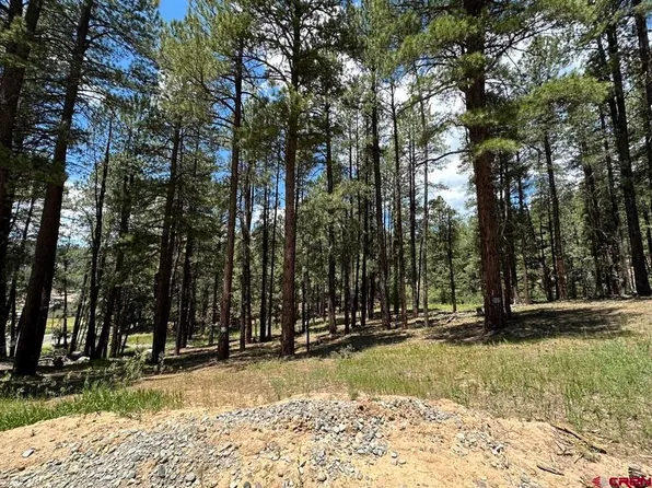 212 Snowbird Court, Bayfield, CO 81122