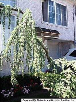 3rd image of 326 Hunter Ave