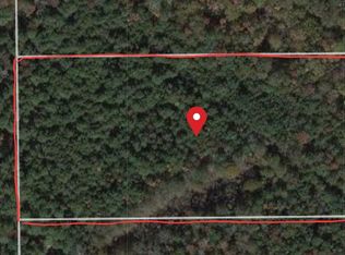 11219 Wingfield Dr, Lumberton, TX 77657