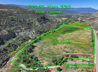 54151 Highway 330, Collbran, CO 81624