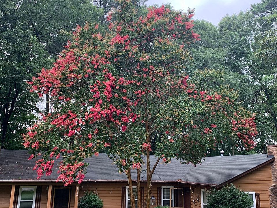 front yard (Unit A is on the left)
