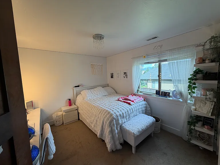 4871 Alpha Dr — Photo 12