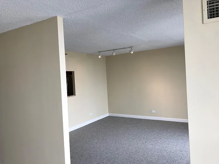 10 E Ontario St #3407 — Photo 14