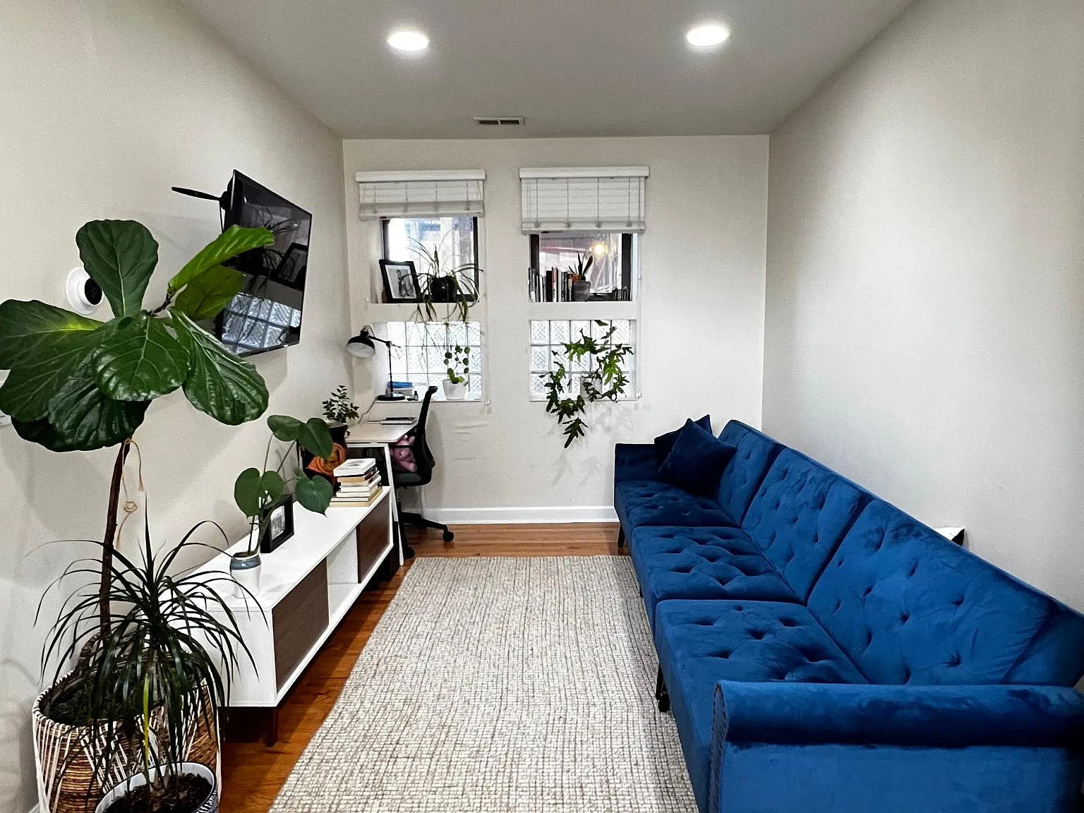 2 bed, 980 sqft, $2,550 — Photo 4