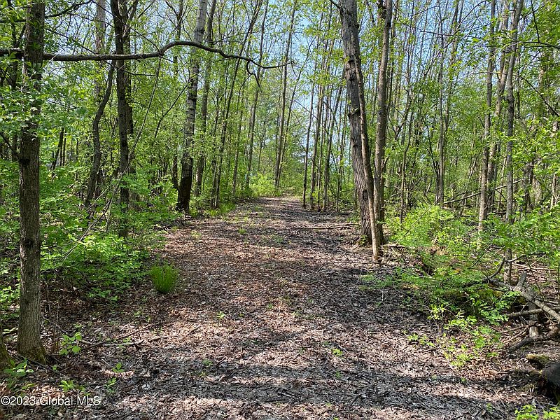 3rd image of 31 Mossy Point Road