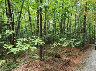 36A Old Mill Pond Rd, Mineral Bluff, GA 30559