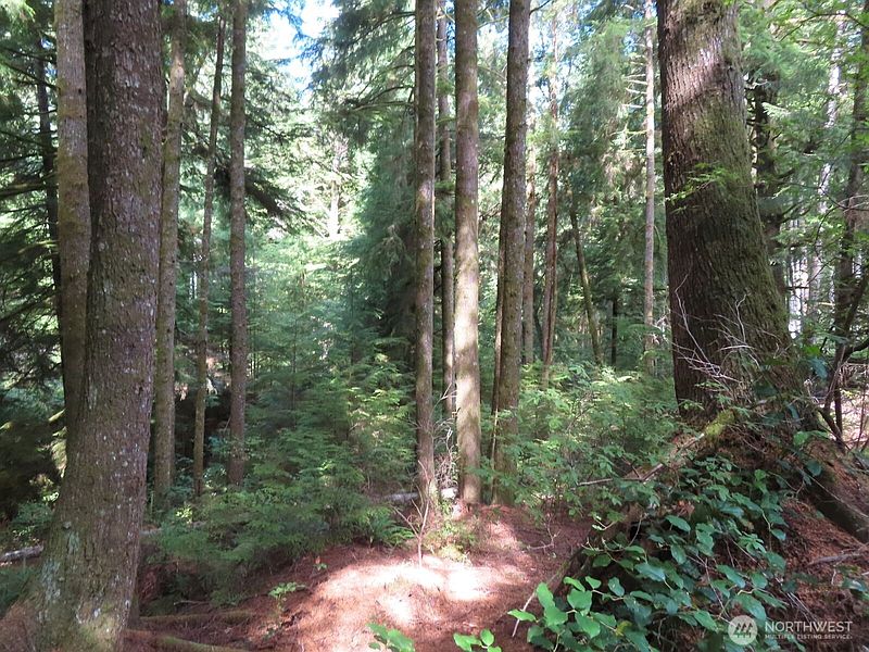 2nd image of 0 XXX State Route 101