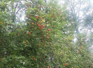 515 Lula Ln, Alger, MI 48610